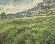 Vincent Van Gogh Green Wheat Field (nn04) painting